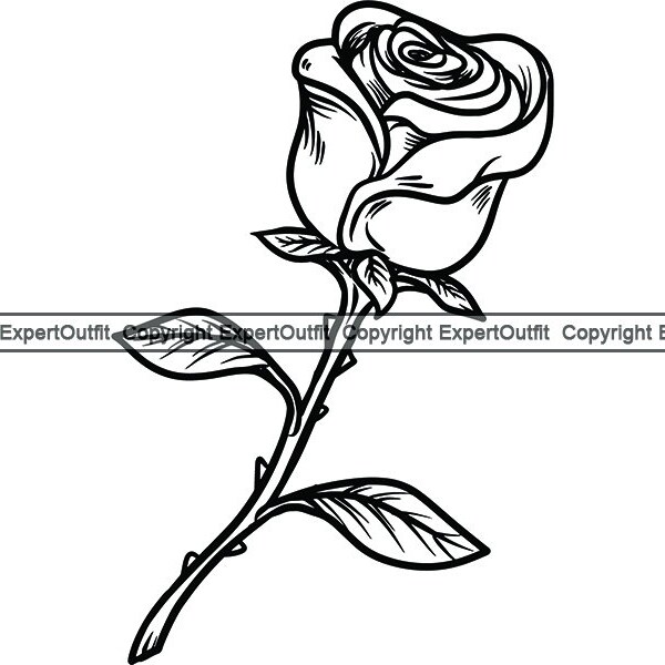 Rose #16 Petal Bud Love Flower Bouquet Thorn Leaf Nature Garden Tattoo Floral Blossom Holiday Logo.SVG.PNG Clipart Vector Cricut Cut Cutting