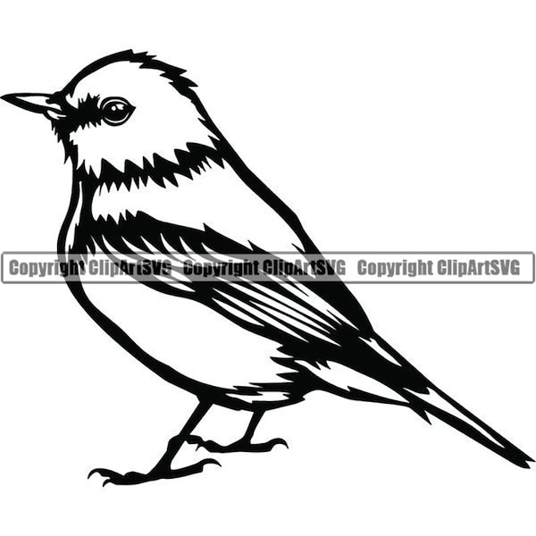 Bluebird #1 Pet Bird Watching Avian Wildlife Songbird Domestic Parrot Beak Feathers Perch Logo .SVG .PNG Clipart Vector Cricut Cut Cutting