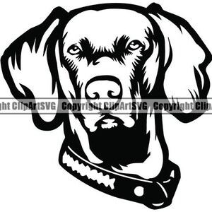 Weimaraner #24 Hunderasse Rassehund Reinrassig K-9 Haustier Jagdhund Tier Hund Vizsla Design Logo .SVG .PNG Clipart Vektor Cricut Schneiden Schneiden