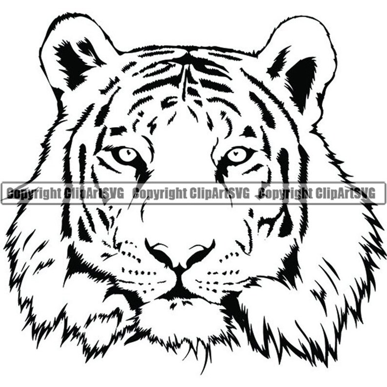 Tiger 6 Bengal Wild Cat Animal School Mascot Tattoo Design Element Logo Svg Eps Png Digital Clipart Vector Cricut Cut Cutting Download - 