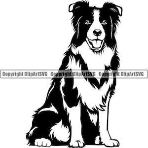 May include: Black and white silhouette of a Border Collie dog sitting with its tongue out. The dog has a white chest and paws.
