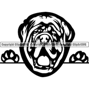Mastiff #10 nieuwsgierige hond glimlachend gelukkig RAS Puppy Pedigree Bordeauxdog Bull Franse dierlijke huisdier Logo. SVG. PNG Vector Cricut Cut snijden