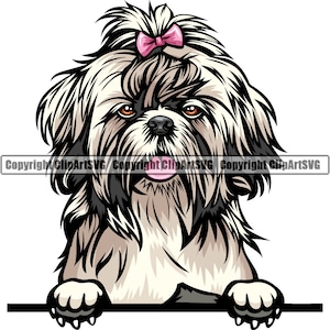 Shih Tzu Dog Breed Peeking Peek-A-Boo Puppy Pet Color Artwork Chihuahua Yorkshire Yorkie Maltese Pomeranian Art Logo PNG SVG Clipart Vector