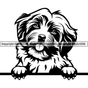 Race de chien bichon havanais Peeking Peek-A-Boo Happy Paw Puppy Pup Pet Maltais Shih Tzu Bichon Frise Lhassa Apso Art Logo SVG PNG Clipart Coupe Coupe