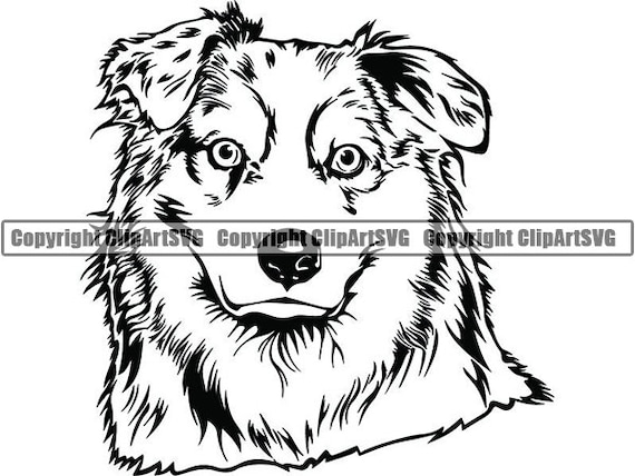 Australian Shepherd 46 Smiling Aussie Dog Breed K9 Animal Pet Hound Puppy Pedigree Purebred Logosvg Png Clipart Vector Cricut Cut Cutting