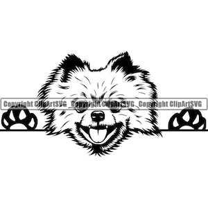 Pomeranian #10 Peeking Dog Breed Pedigree Canine Purebred K-9 Pet Hound Animal Spitz Logo .SVG .PNG Clipart Vector Cricut Cut Cutting File