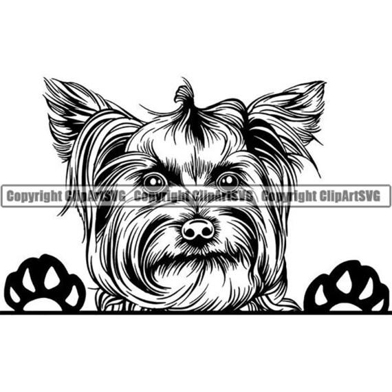 Clip Art 02 Svg Clipart Yorkie Vector Graphic Art Dog Silhouette Printable Cricut Cut File Yorkshire Terrier Digital Design Png Yorkshire Terrier Art Collectibles