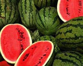 ORGANIC Watermelon Seed Oil Cold Pressed UNREFINED Face Oil for Extra Dry Skin, Body Oil for Dry Skin, Calming, Anti-aging, GardenOfEssences