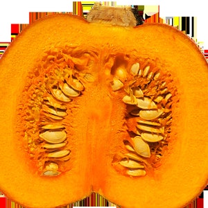 Puede incluir: Una calabaza naranja brillante cortada por la mitad, con semillas y pulpa visibles. El interior de la calabaza revela una vibrante exhibici&oacute;n de semillas y hebras fibrosas, mostrando su textura y color naturales. El tallo es de color marr&oacute;n claro.