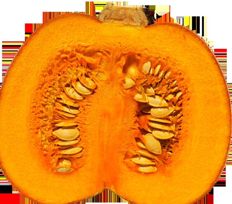 Puede incluir: Una calabaza naranja brillante cortada por la mitad, con semillas y pulpa visibles. El interior de la calabaza revela una vibrante exhibici&oacute;n de semillas y hebras fibrosas, mostrando su textura y color naturales. El tallo es de color marr&oacute;n claro.