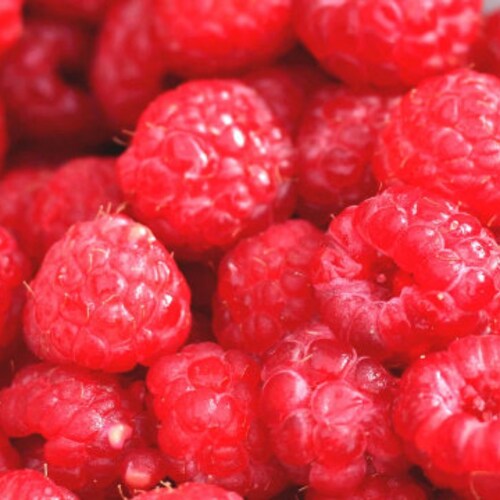 2 Oz RED RASPBERRY Seed Oil UNREFINED Organic Extra Virgin - Etsy