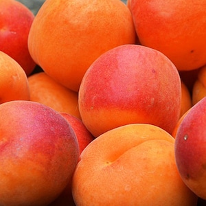 ORGANIC Apricot Oil UNREFINED Cold Pressed Anti-aging Face Oil for Sensitive Skin, Calming Oil All Skin Types,  GardenOfEssences