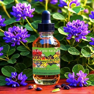 May include: A clear glass bottle with a black dropper filled with a golden liquid. The label reads "BABCHI SEED" and "COLD PRESSED UNREFINED P". The bottle is surrounded by vibrant purple flowers and green foliage. Several seeds are scattered on the wooden surface.