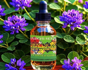 SALE Organic BABCHI Bakuchi Bakuchiol OIL Cold Pressed, Unrefined, Reduce Dark Spots, Reduce Dark Patches, Even Skin Tone, GardenOfEssences