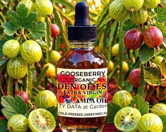 COUPON Organic AMLA Gooseberry Oil Cold Pressed UNREFINED, Anti-aging Calming Face Oil, Indian Gooseberry for Glossy Hair, GardenOfEssences