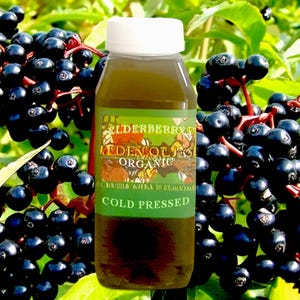 May include: A clear bottle of cold-pressed elderberry juice with a white cap, set against a backdrop of fresh elderberries and green leaves. The label reads "Elderberry Meden Oils Organic".