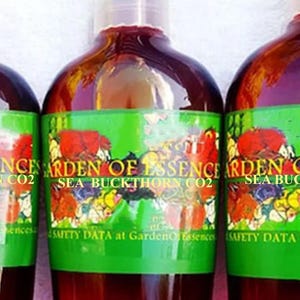 SALE Organic Sea Buckthorn Oil CO2 Extract UNREFINED, Anti-aging Hydrating Skin Oil for Lines, Calms Irritation + Breakout, GardenOfEssences image 2