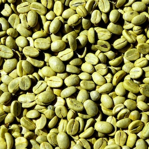 ORGANIC Green Coffee Oil UNREFINED USDA Certified Cold Pressed Anti-aging Serum For Eye Bags, Dry Skin Lines, Dimple Thigh, GardenOfEssences