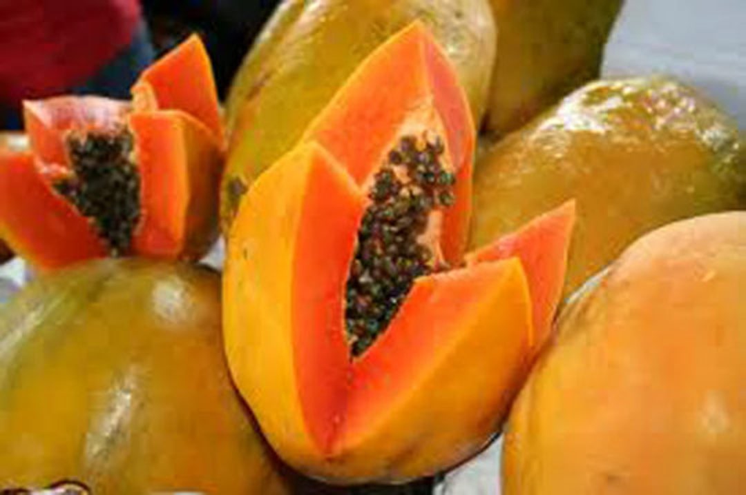 Organic Papaya Seed Oil UNREFINED Cold Pressed Antiaging Face Etsy