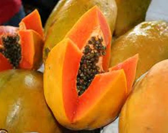 Organic Papaya Seed Oil UNREFINED Cold Pressed Anti-aging Face Oil for Dark Spots and Patches, Calming, Gentle Exfoliant, GardenOfEssences