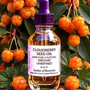 Puede incluir: Una botella de vidrio transparente de aceite de semilla de camemoro con un cuentagotas morado. La etiqueta dice "Cloudberry Seed Oil 100% Pure & Natural Organic Unrefined 2 oz e". Rodeada de camemoro naranja y hojas verdes.