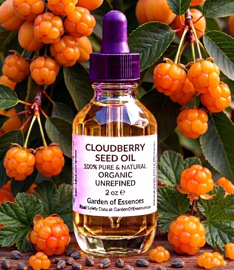 Puede incluir: Una botella de vidrio transparente de aceite de semilla de camemoro con un cuentagotas morado. La etiqueta dice "Cloudberry Seed Oil 100% Pure & Natural Organic Unrefined 2 oz e". Rodeada de camemoro naranja y hojas verdes.