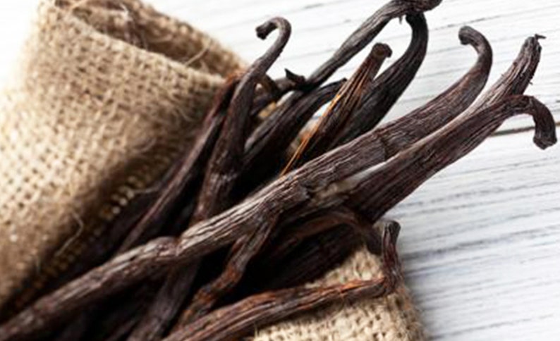 May include: A bunch of dried vanilla beans in a burlap sack. The beans are dark brown and have a slightly wrinkled texture.