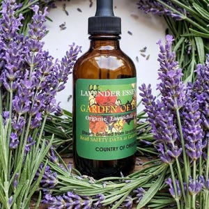 May include: An amber glass dropper bottle with a black cap and a green label featuring the text Lavender Essen, Garden of Eden, Organic Lavandula, Steam distilled from lavender, Read SAFETY DATA at Garden, Country of Origin.