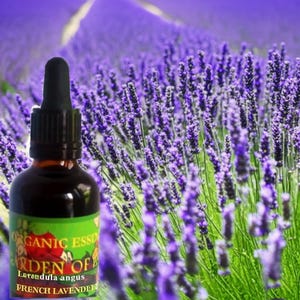 ORGANIC LAVENDER Essential Oil Undiluted, French Lavender Essential Oil, Muscle Relaxant, Soothing Oil, Stiff Joint Relief, GardenOfEssences