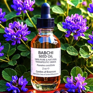 May include: A clear glass bottle of Babchi Seed Oil with a black dropper, set against a backdrop of vibrant purple flowers and green foliage. The label reads "100% Pure & Natural Therapeutic Grade" and "2 oz e". The oil is amber-colored, and the scene is on a red surface.