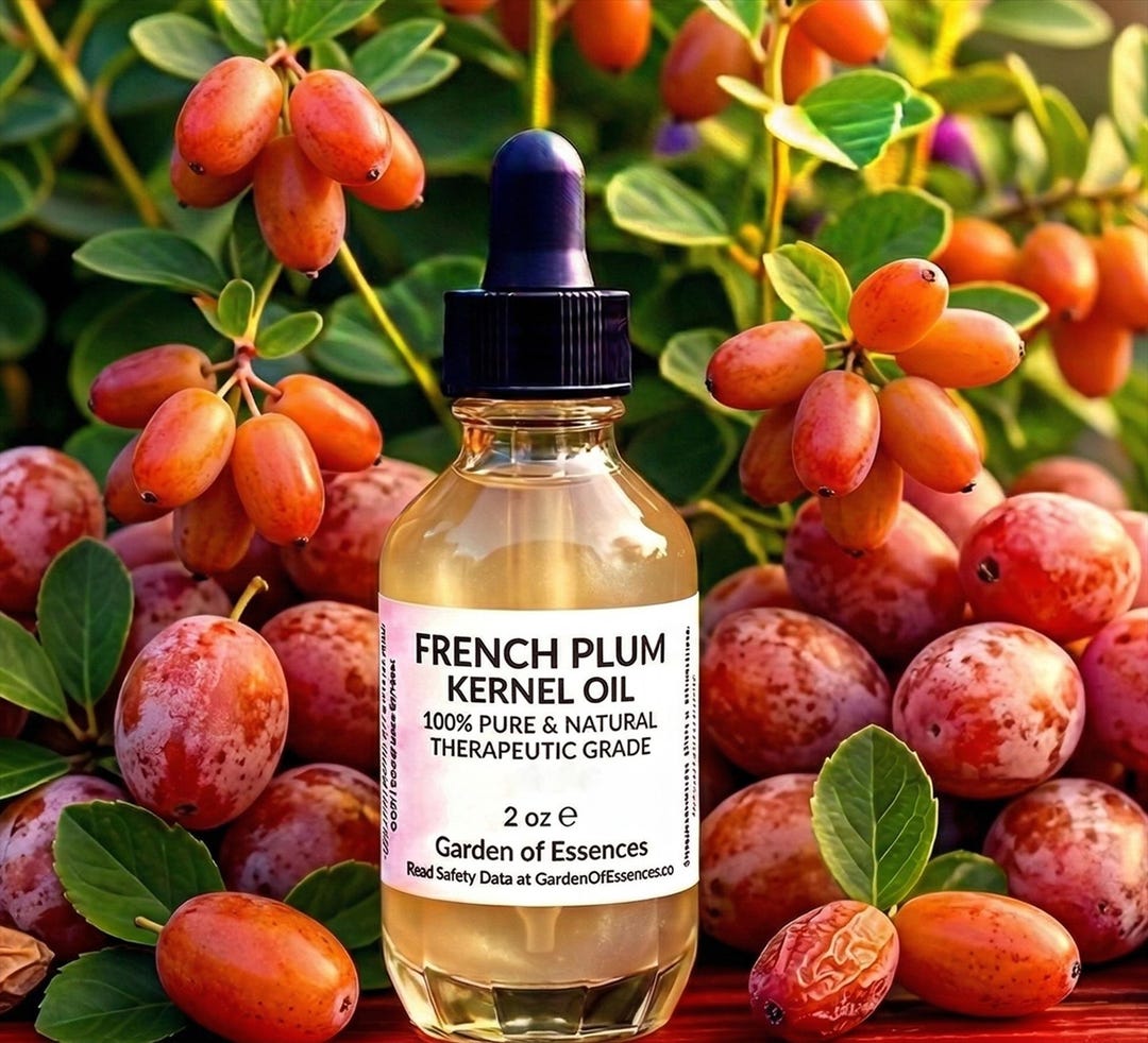 Plum Kernel SALE Plum Kernel Oil UNREFINED Cold Pressed, French Plum Kernel Face ...