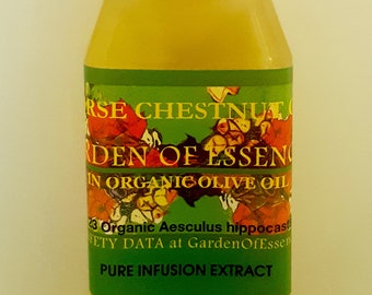 Organic Horse Chestnut Infusion Oil for Legs That are Uncomfortable, Tired Legs, Muscle and Leg Tension, Spider Skin, GardenOfEssences