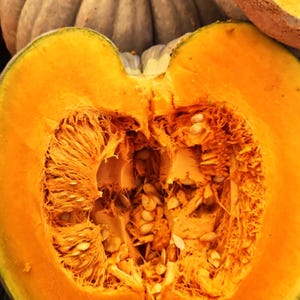 Puede incluir: Primer plano de una calabaza cortada por la mitad, que revela una pulpa de color naranja brillante y numerosas semillas. La superficie cortada muestra un interior texturizado. Se ven rodajas de calabaza en el fondo.