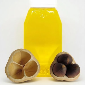 May include: A clear bottle filled with bright yellow liquid, capped with a white lid, stands behind two halves of a seed pod. One pod half is empty, the other contains three dark brown seeds. The background is white.