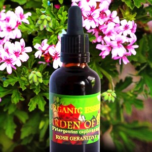 Organic Geranium Essential Oil for Dimpled Thighs, Mood Lift, Muscle and Joint Relief, Energizing, GardenOfEssences