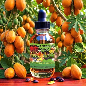 SALE Organic Papaya Seed Oil UNREFINED Cold Pressed Face Oil for Dark Spots, Brown Patches, Comfort, Gentle Exfoliant, GardenOfEssences Bild 2