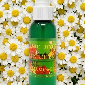 ORGANIC Chamomile Hydrosol Facial Toner, for Sensitive Skin, Hydrating for Mature or Dry Skin, All Skin Types, Comforting, GardenOfEssences