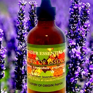 May include: A brown glass bottle of lavender essential oil with a black dropper, labeled "Garden of Essence." The label includes text about the oil's origin in France and the species Lavandula angustifolia. Purple lavender flowers are in the background.