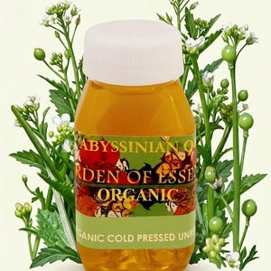 Könnte beinhalten: Eine kleine, transparente Flasche gefüllt mit goldener Flüssigkeit, mit einem weißen Deckel verschlossen. Das Etikett lautet "Abyssinian Oil Garden of Essence Organic Cold Pressed Unrefined". Umgeben von grünen Stielen, weißen Blüten und grünen Knospen.