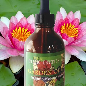 Organic Pink Lotus Absolute Essential Oil Undiluted, Anti-aging Face Oil, Pink Water Lily Essential Oil to Relax Muscles, GardenOfEssences