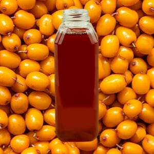Organic Sea Buckthorn Oil CO2 Extract UNREFINED, Anti-aging Hydrating Skin Oil for Lines, Soothes Irritation + Discomfort, GardenOfEssences