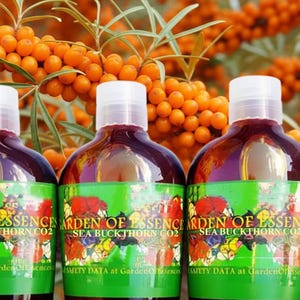 SALE Organic Sea Buckthorn Oil CO2 Extract UNREFINED, Anti-aging Hydrating Skin Oil for Lines, Calms Irritation + Breakout, GardenOfEssences image 3