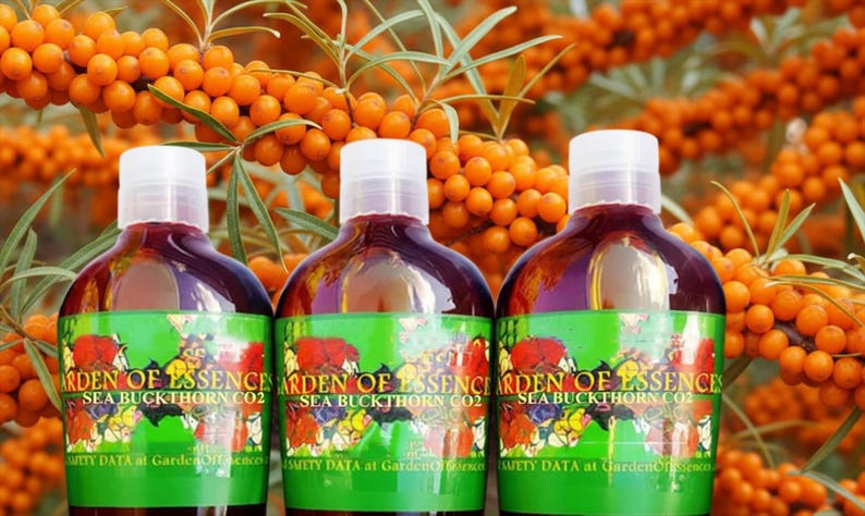 SALE Organic Sea Buckthorn Oil CO2 Extract UNREFINED, Anti-aging Hydrating Skin Oil for Lines, Calms Irritation + Breakout, GardenOfEssences image 3