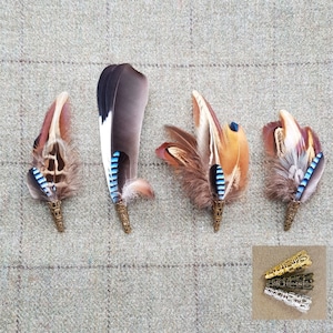 Pheasant and Jay feather brooch, hat lapel pin, wedding buttonhole, Country wear. boxed