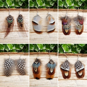 Pheasant partridge and guinea fowl feather dangle earrings, silver or gold. many designs. come boxed