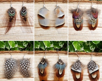 Pheasant partridge and guinea fowl feather dangle earrings, silver or gold. many designs. come boxed