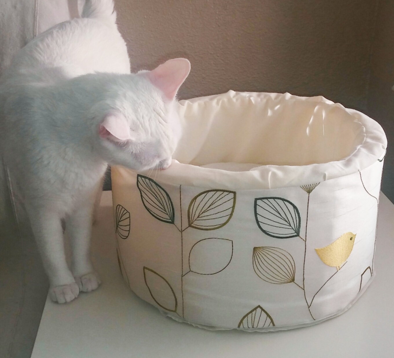 cat dog bed