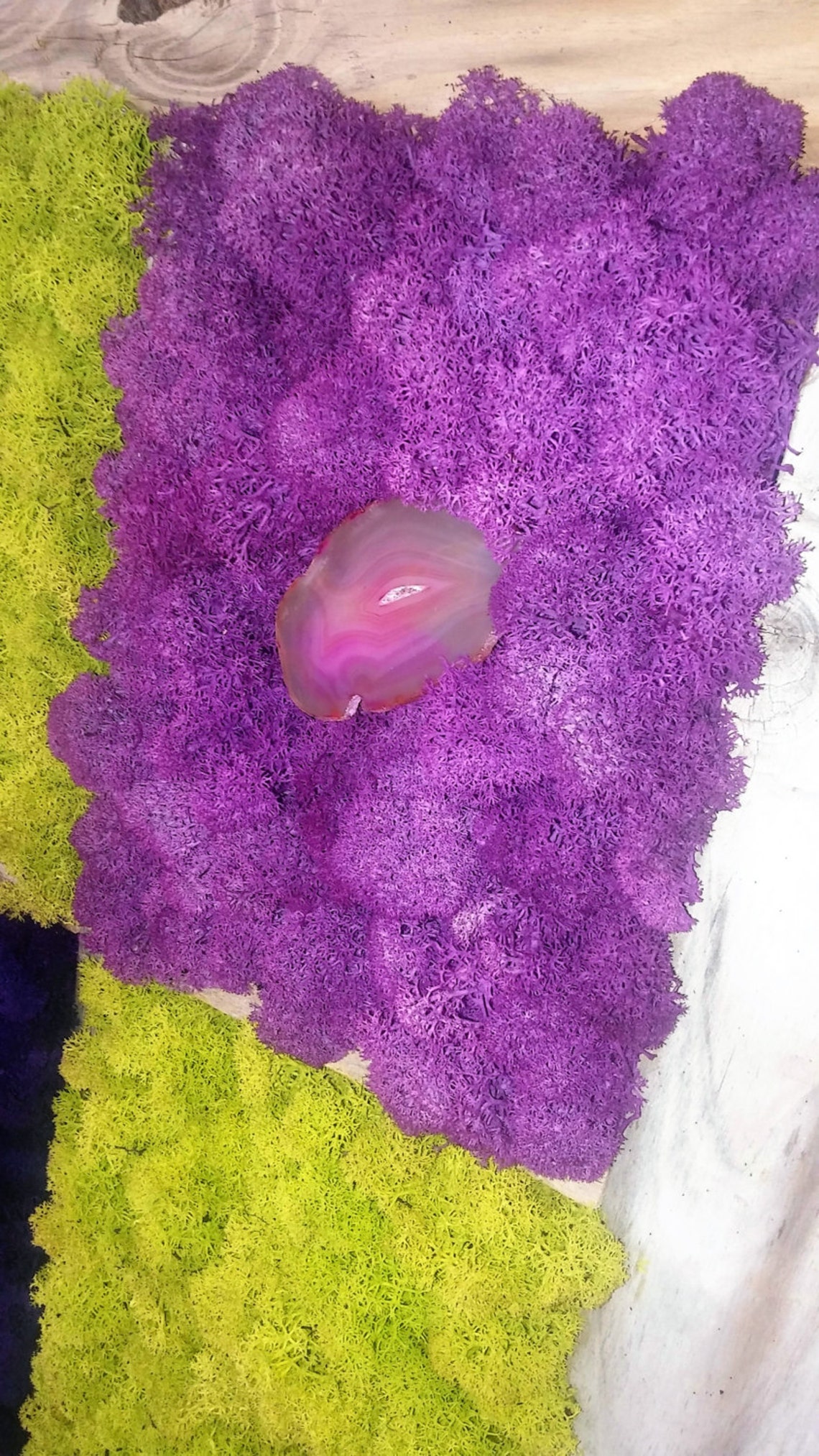 Moss Art Moss Painting Reindeer Moss Biophilic Interior Etsy