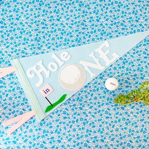 Hole in One Party Birthday Pennant, Preppy Baby
