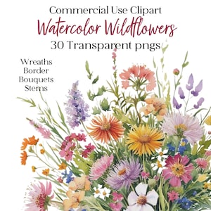 Wildblumen Clipart Blumen Aquarell Wilde Blumen Blumen Clipart Hochzeit Clipart Frühlings Clipart Wildblumen 30 Png-Bilder, kommerzielle Nutzung